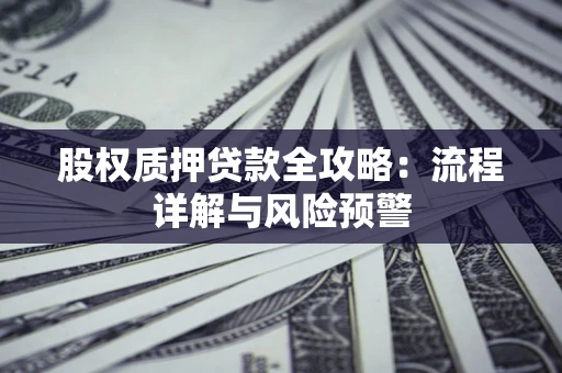 北京股权质押贷款全攻略：流程详解与风险预警