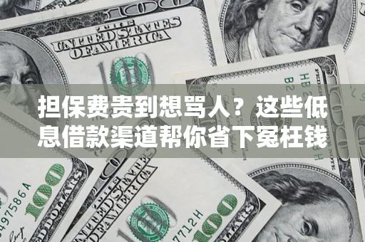 北京担保费贵到想骂人？这些低息借款渠道帮你省下冤枉钱