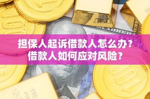 北京担保人起诉借款人怎么办？借款人如何应对风险？