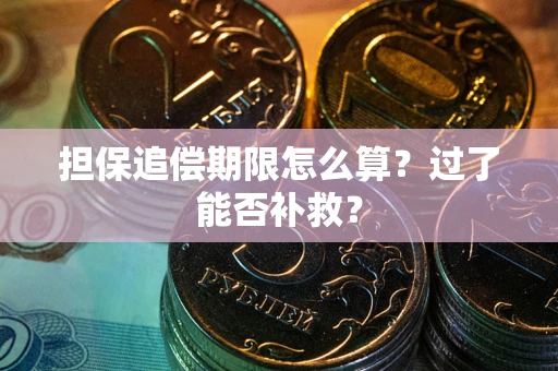北京担保追偿期限怎么算？过了能否补救？